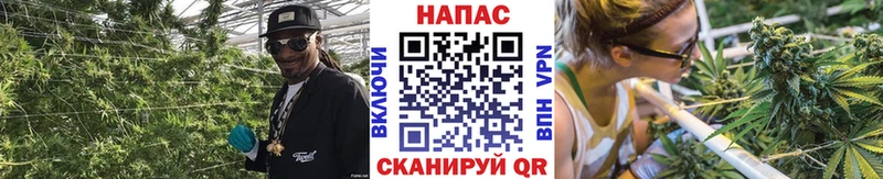Бошки Шишки Ganja это состав Пестово